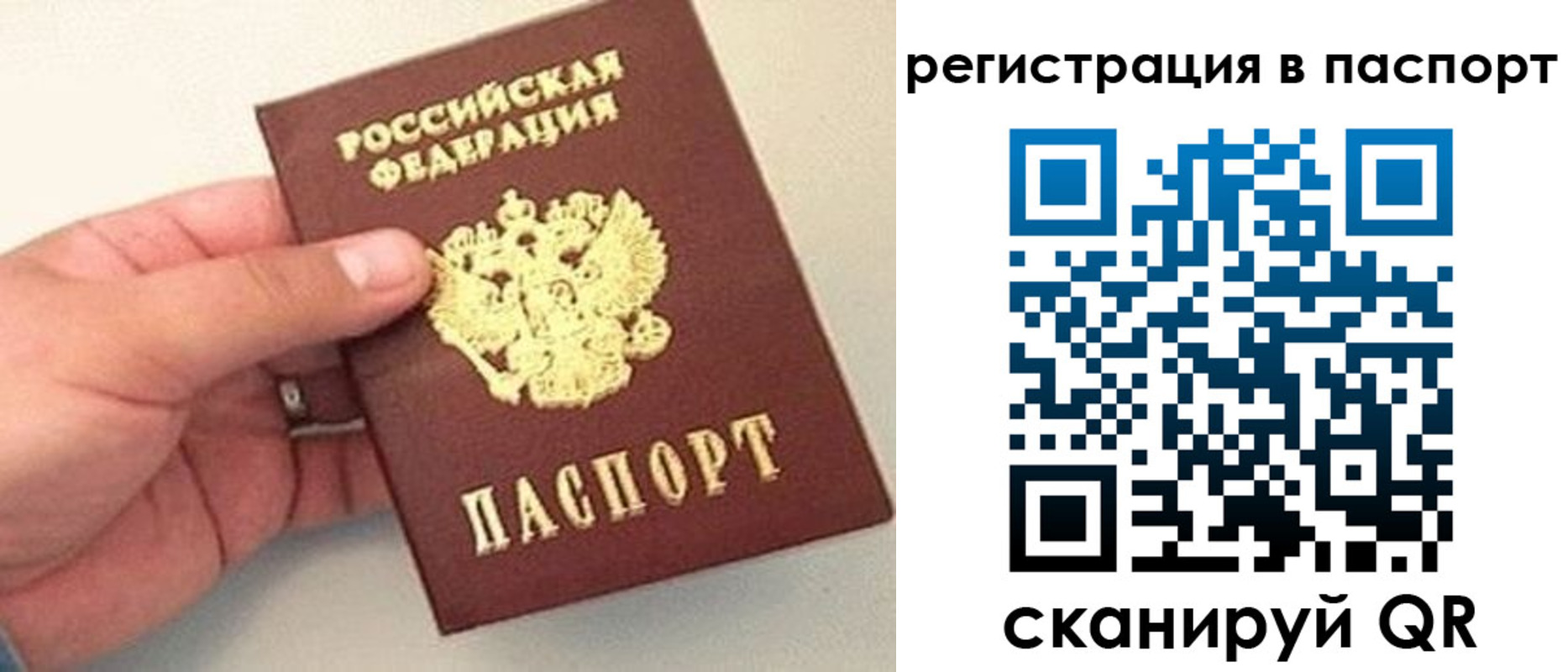 прописка законно в Саранске